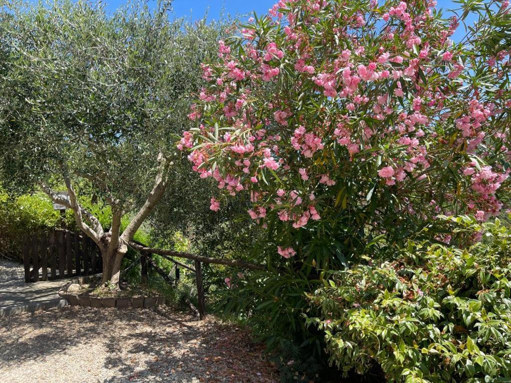 Agriturismo A Canonica การ์เลนดา ภายนอก รูปภาพ