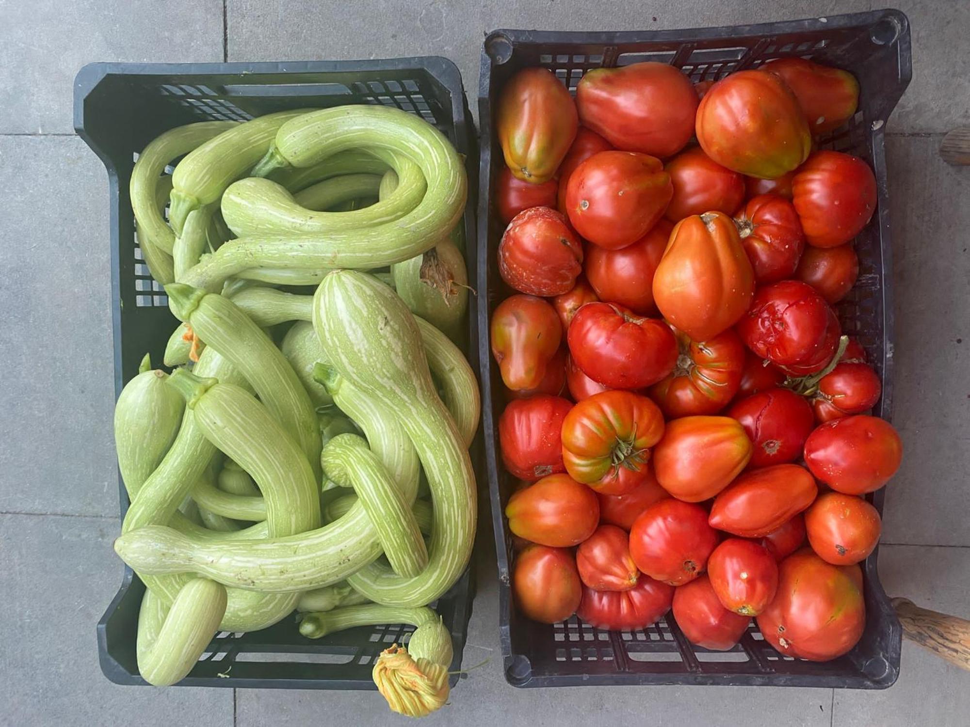 Agriturismo A Canonica การ์เลนดา ภายนอก รูปภาพ