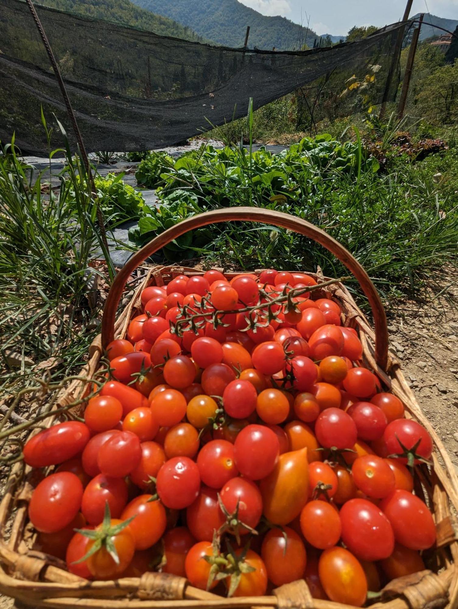 Agriturismo A Canonica การ์เลนดา ภายนอก รูปภาพ