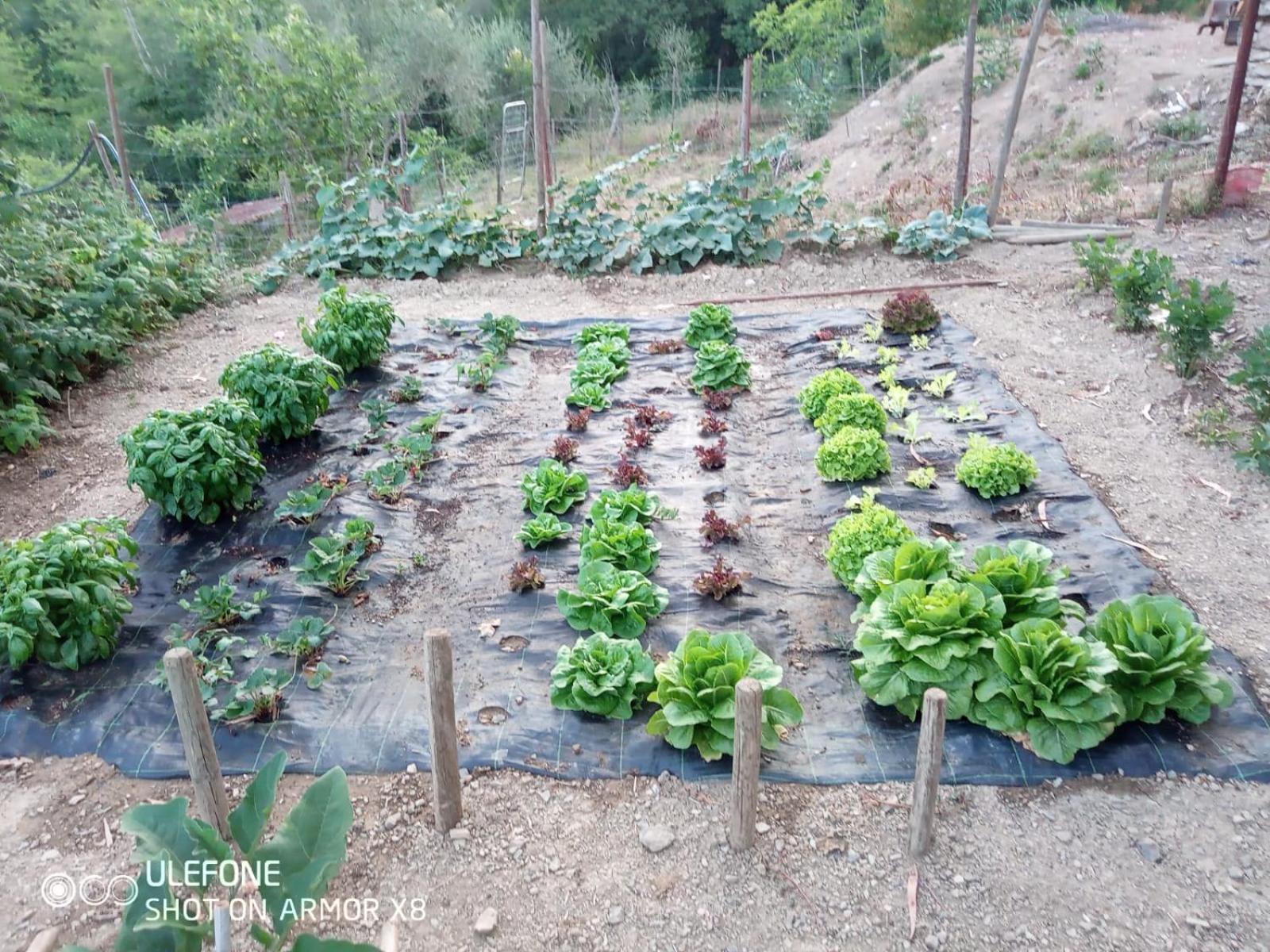 Agriturismo A Canonica การ์เลนดา ภายนอก รูปภาพ